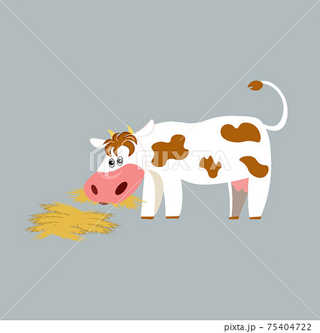 A Cow On A Farm Eating Hay Cow White Cheerful のイラスト素材