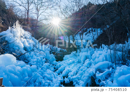 あしがくぼの氷柱 あしがくぼの氷柱 75408510