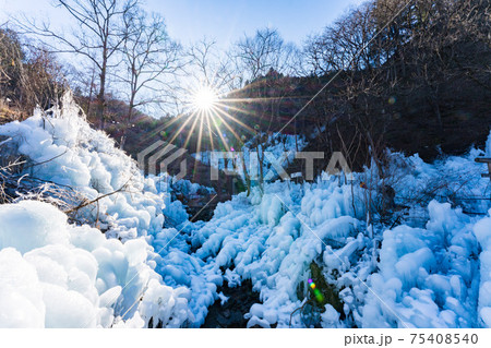 あしがくぼの氷柱 あしがくぼの氷柱 75408540