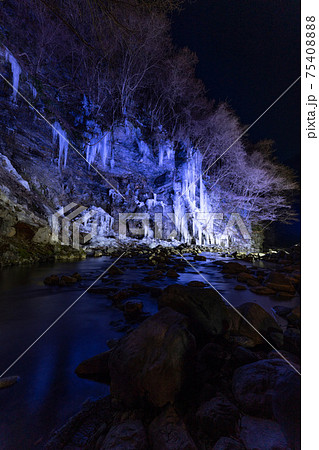 三十槌の氷柱（みそつちのつらら） ライトアップ 75408888