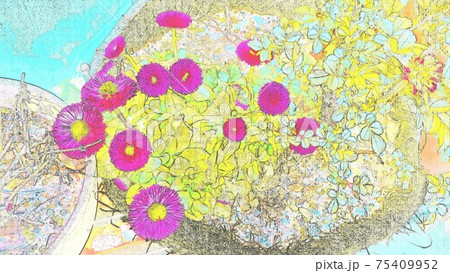 ガーデニング　デイジー　ピンク　寄せ植え　イラスト風 75409952