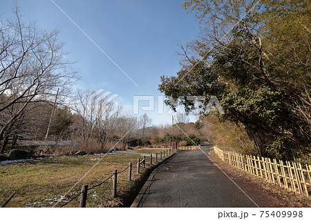 晴れてもところどころに雪が残るいつもの散歩道 75409998
