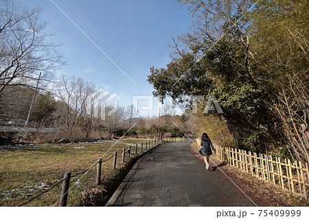 晴れてもところどころに雪が残るいつもの散歩道を歩く人 75409999