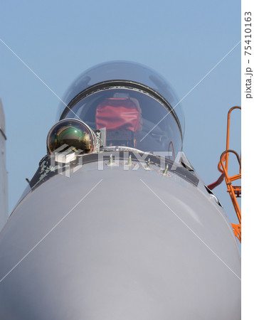 マレーシア空軍スホーイSu-30MKMコクピット 75410163