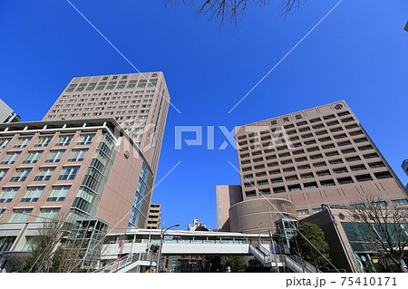 東京　文京区　順天堂大学 75410171