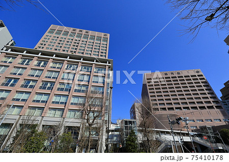 東京 文京区 順天堂大学 東京 文京区 順天堂大学 75410178