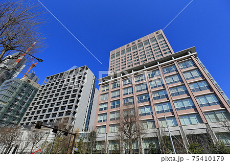 東京 文京区 順天堂大学 東京 文京区 順天堂大学 75410179