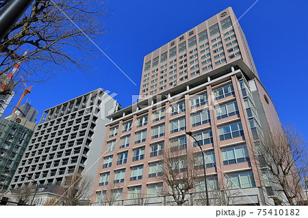 東京 文京区 順天堂大学 東京 文京区 順天堂大学 75410182