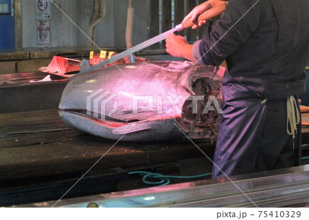 大間産本マグロの解体とマグロの競り。 大間産本マグロの解体とマグロの競り。 75410329