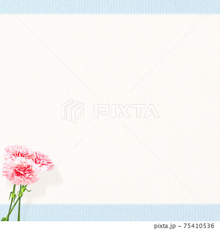 ピンク色のカーネーションをあしらった爽やかな背景 複数のバリエーションがありますのイラスト素材