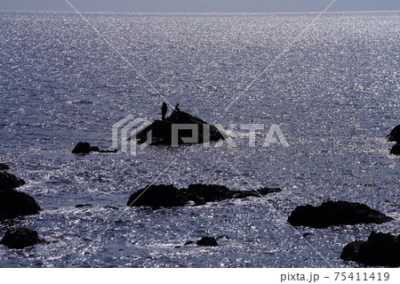 釣り人 釣り人 75411419