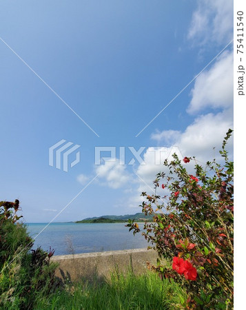 石垣島 海岸線の景色 石垣島 海岸線の景色 75411540