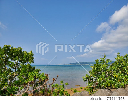 石垣島　海岸線の景色 75411563
