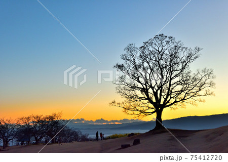 夕焼けの吾妻山公園頂上の大木と人のシルエット 夕焼けの吾妻山公園頂上の大木と人のシルエット 75412720