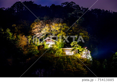 五大堂のライトアップ 五大堂のライトアップ 75413885