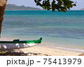 ハワイの海とボート 75413979