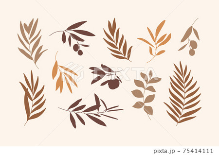 Set of Leaves and Branch. Silhouette Palm leaf and Olive Branch In a Simple Style. Vector Illustration 75414111