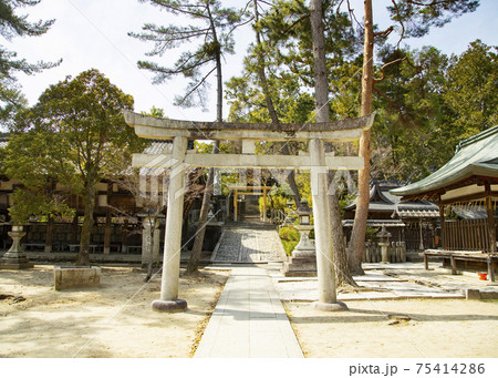 今宮神社　月読社・地主稲荷社へと続く石段 75414286