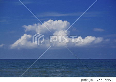 海辺 75414451