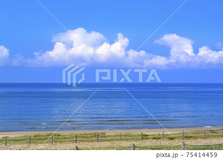 海辺 75414459