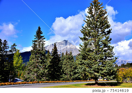 カスケードガーデンから見たカスケード山とバンフの街並み 75414619