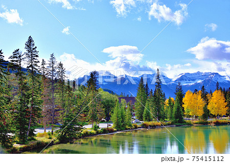ボウ川とカナディアンロッキー ボウ川とカナディアンロッキー 75415112