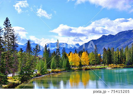 ボウ川とカナディアンロッキー 75415205