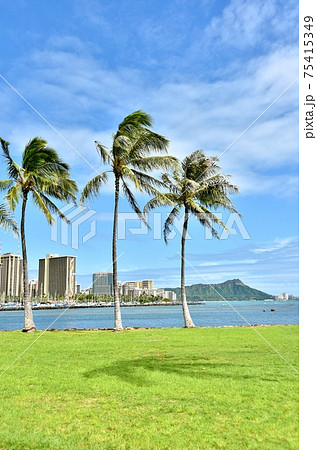 ハワイの休日 ハワイの休日 75415349