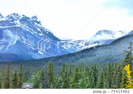 カナディアンロッキー 75415402