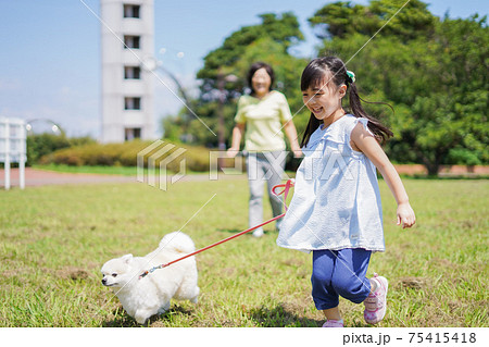 おばあちゃんと犬の散歩をする小さな女の子の写真素材