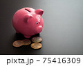 Bunch of valuable bitcoins placed near ceramic pink piggy bank on gray table 75416309