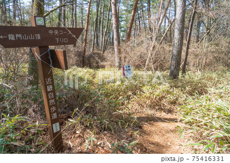 龍門山の分岐（和歌山県紀の川市） 75416331