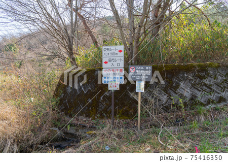 龍門山の田代ルート登山口(和歌山県紀の川市) 龍門山の田代ルート登山口(和歌山県紀の川市) 75416350