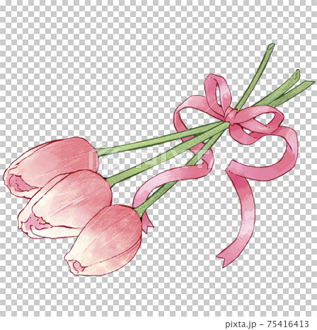 一束粉紅色的鬱金香,用粉紅絲帶捆綁 一束粉紅色的鬱金香,用粉紅絲帶捆綁 75416413