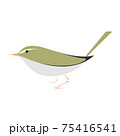 ウグイスのベクターイラスト 75416541