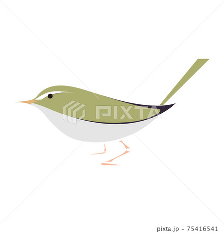 ウグイスのベクターイラスト 75416541
