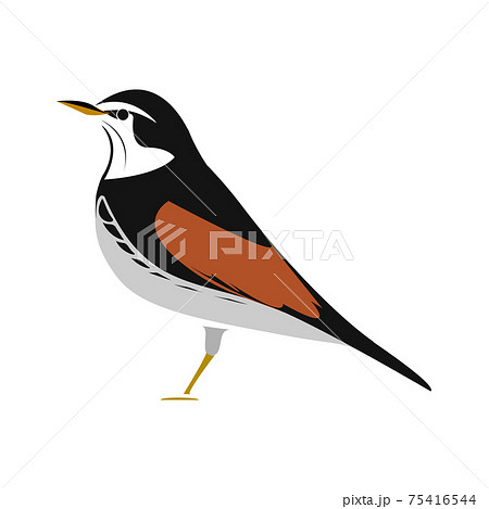 ノゴマのベクターイラスト 75416544