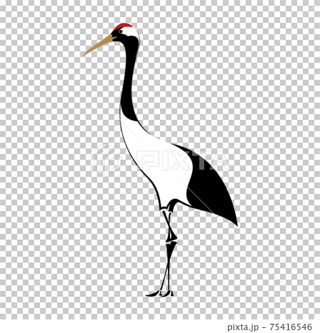 Red-crowned crane vector illustration 75416546