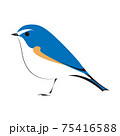 ルリビタキのベクターイラスト 75416588
