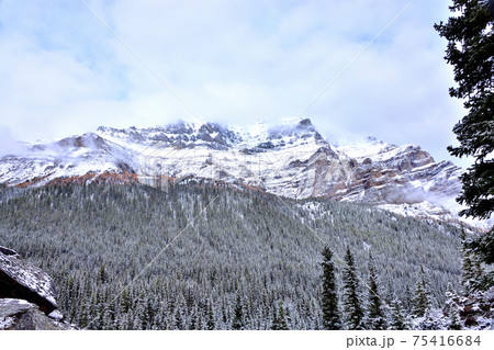 カナディアンロッキー 75416684