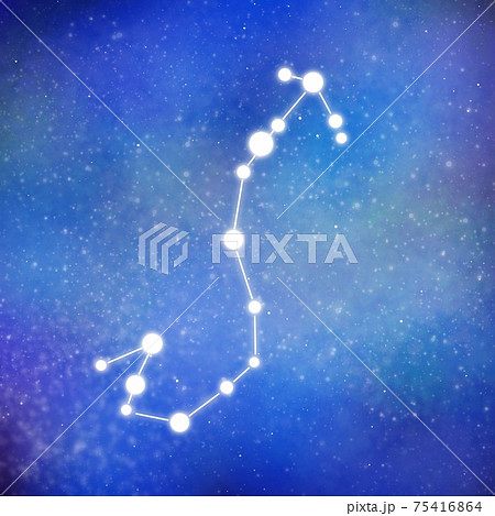 蠍座のイラスト素材