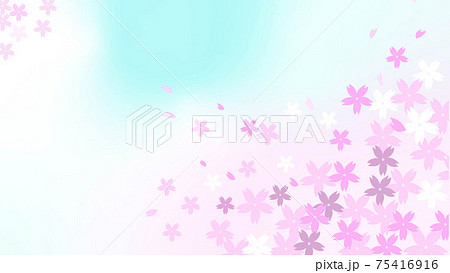 桜吹雪 75416916