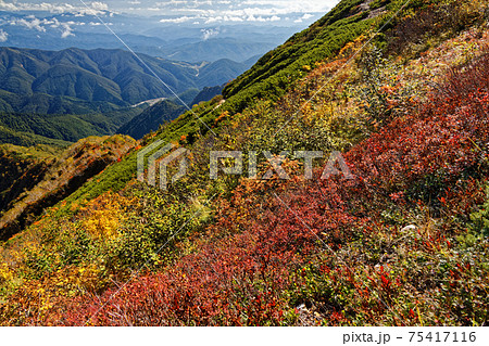 北アルプス・爺ヶ岳稜線の紅葉 北アルプス・爺ヶ岳稜線の紅葉 75417116