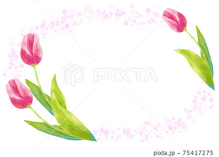 優しいタッチのチューリップのシンプルなフレームのイラスト素材