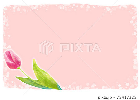 優しいタッチのチューリップのシンプルなフレームのイラスト素材