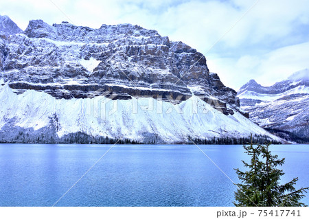 クロウフット氷河とボウ・レイク クロウフット氷河とボウ・レイク 75417741