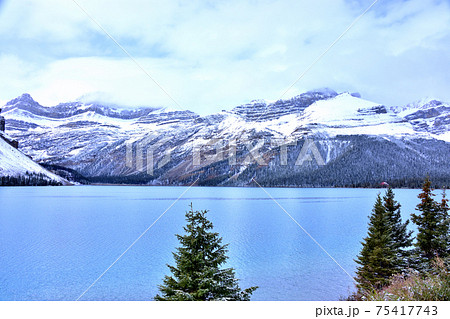 クロウフット氷河とボウ・レイク クロウフット氷河とボウ・レイク 75417743