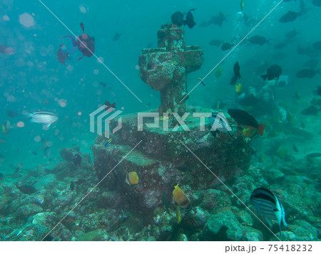 海の中の十字架（フィリピン、アニラオ） 75418232