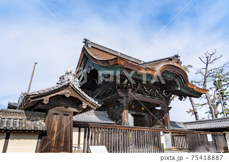 三重県津市一身田　高田本山専修寺の立派な唐門 75418887