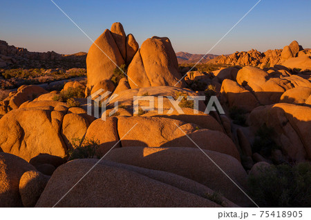Joshua Park Joshua Park 75418905